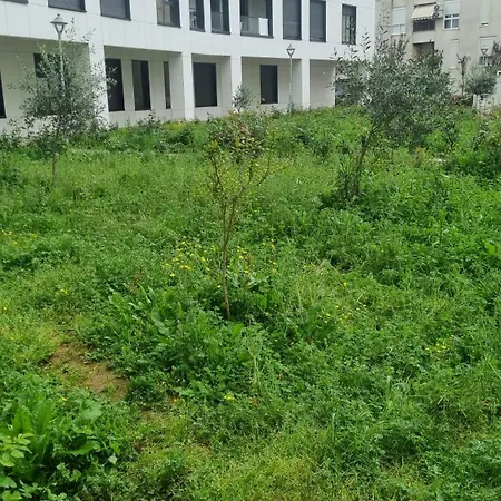 Apartament Odahousetirana Tirana