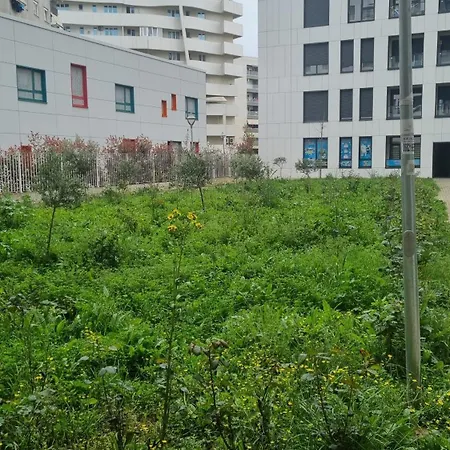 Odahousetirana * Tiran